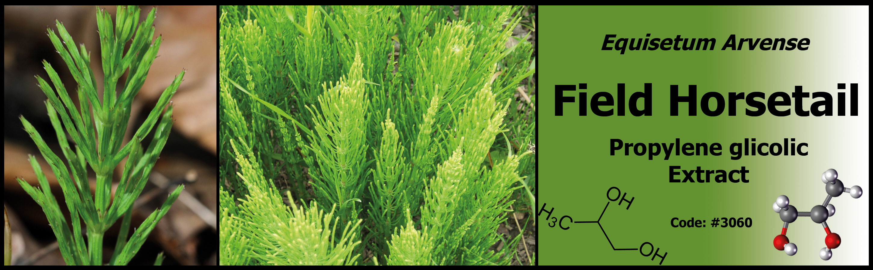 3060_Field-Horsetail-PG-Extract